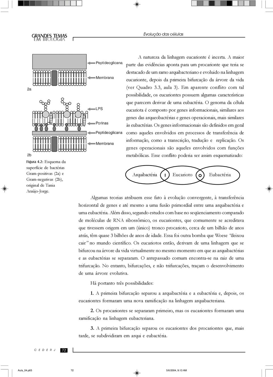 Quadro 3.3, aula 3). Em aparente conflito com tal possibilidade, os eucariontes possuem algumas características que parecem derivar de uma eubactéria.