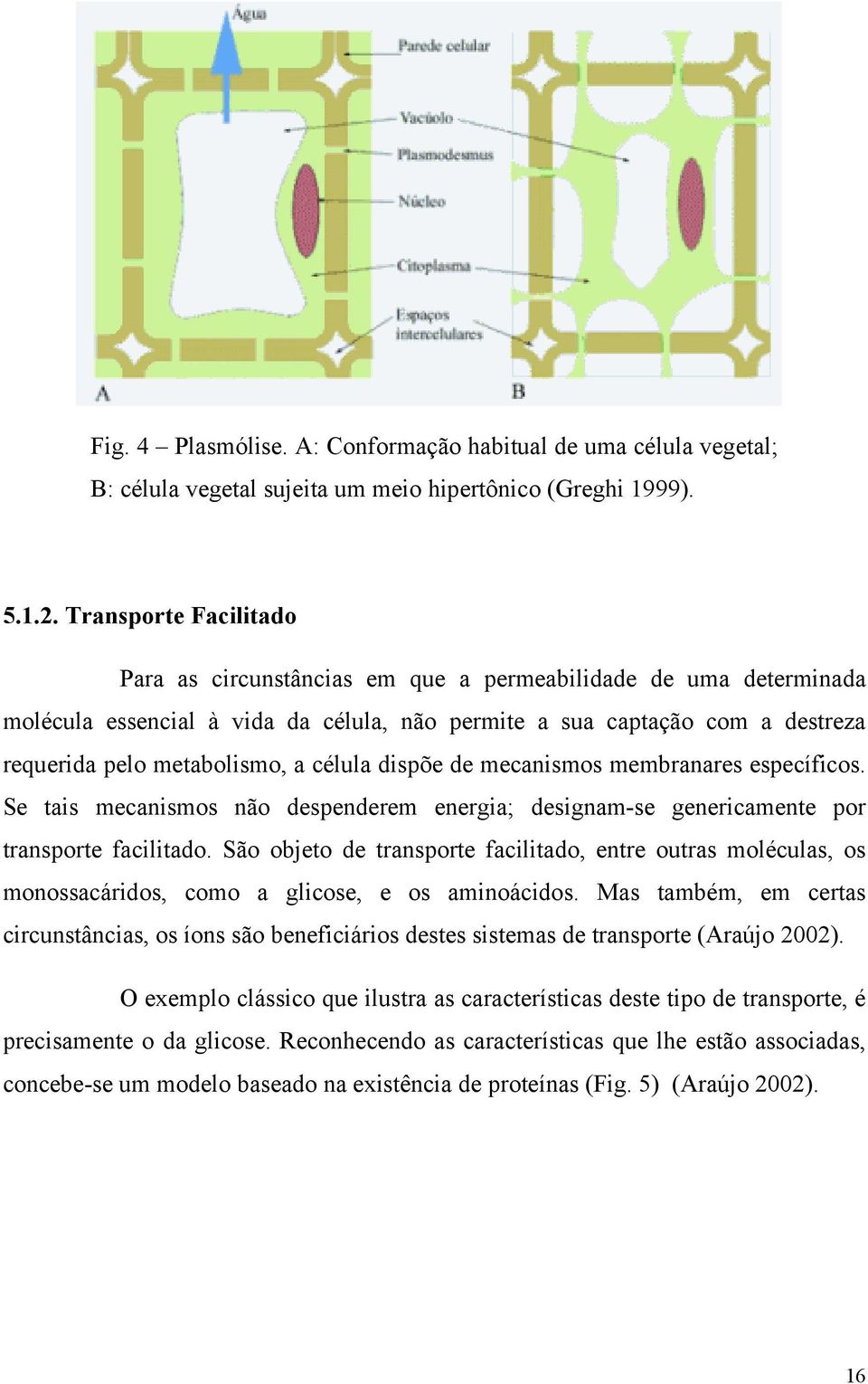 célula dispõe de mecanismos membranares específicos. Se tais mecanismos não despenderem energia; designam-se genericamente por transporte facilitado.