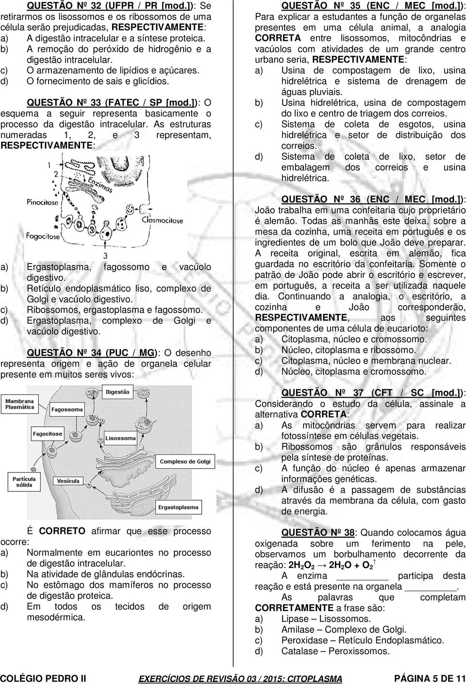 ]): O esquema a seguir representa basicamente o processo da digestão intracelular. As estruturas numeradas 1, 2, e 3 representam, RESPECTIVAMENTE: a) Ergastoplasma, fagossomo e vacúolo digestivo.