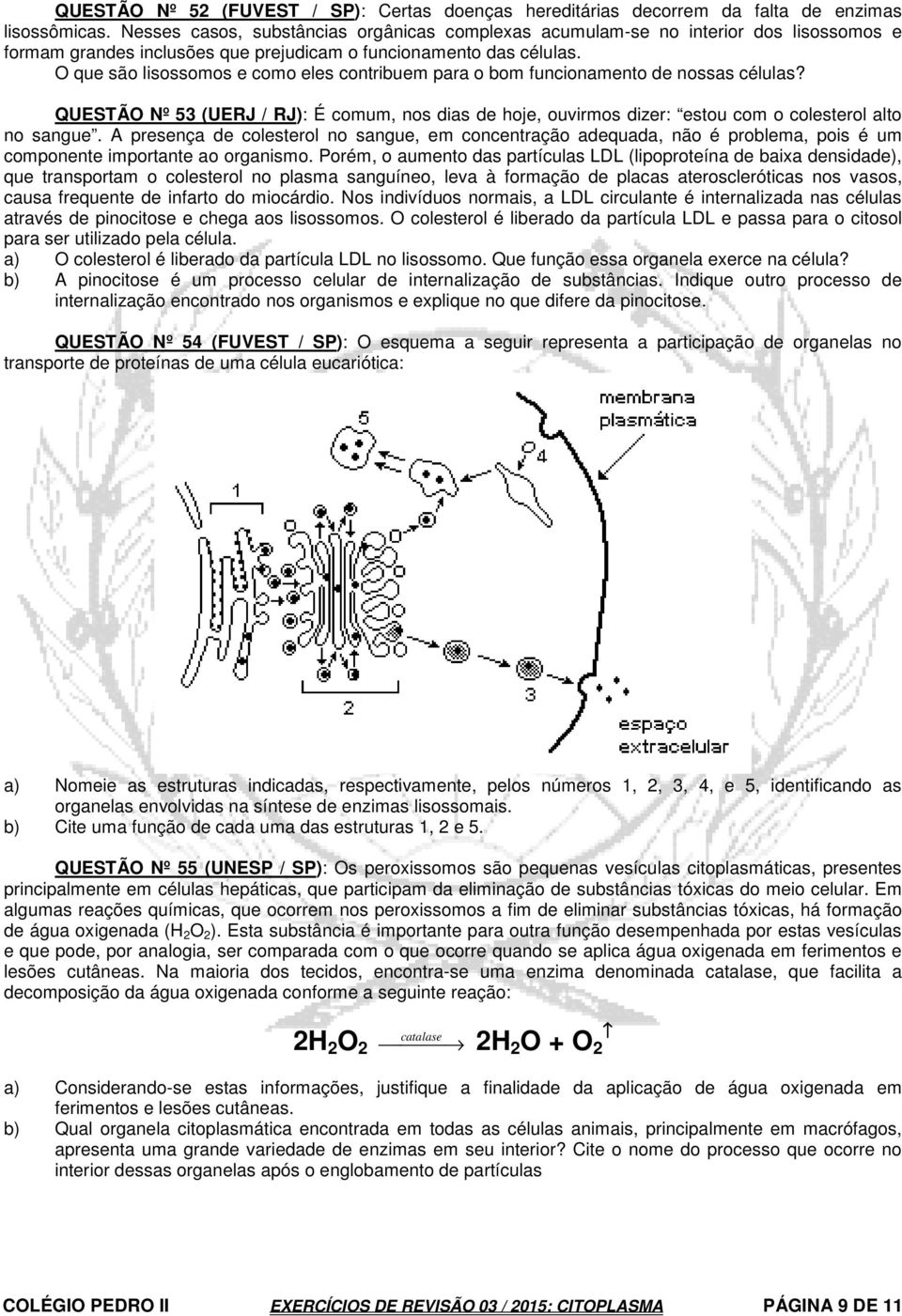 O que são lisossomos e como eles contribuem para o bom funcionamento de nossas células? QUESTÃO Nº 53 (UERJ / RJ): É comum, nos dias de hoje, ouvirmos dizer: estou com o colesterol alto no sangue.