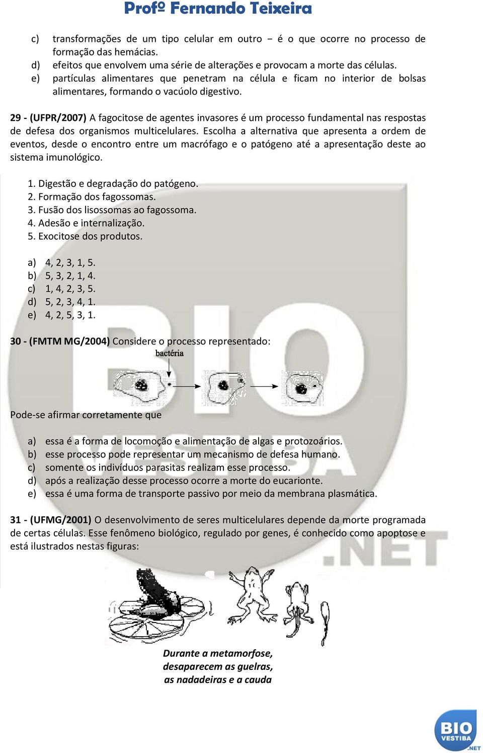 29 - (UFPR/2007) A fagocitose de agentes invasores é um processo fundamental nas respostas de defesa dos organismos multicelulares.