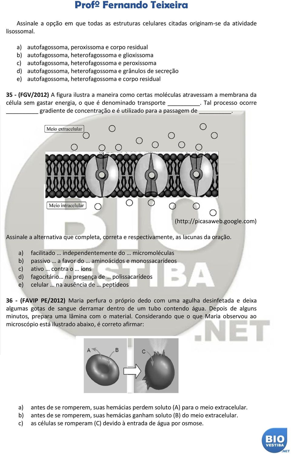 e) autofagossoma, heterofagossoma e corpo residual 35 - (FGV/2012) A figura ilustra a maneira como certas moléculas atravessam a membrana da célula sem gastar energia, o que é denominado transporte.