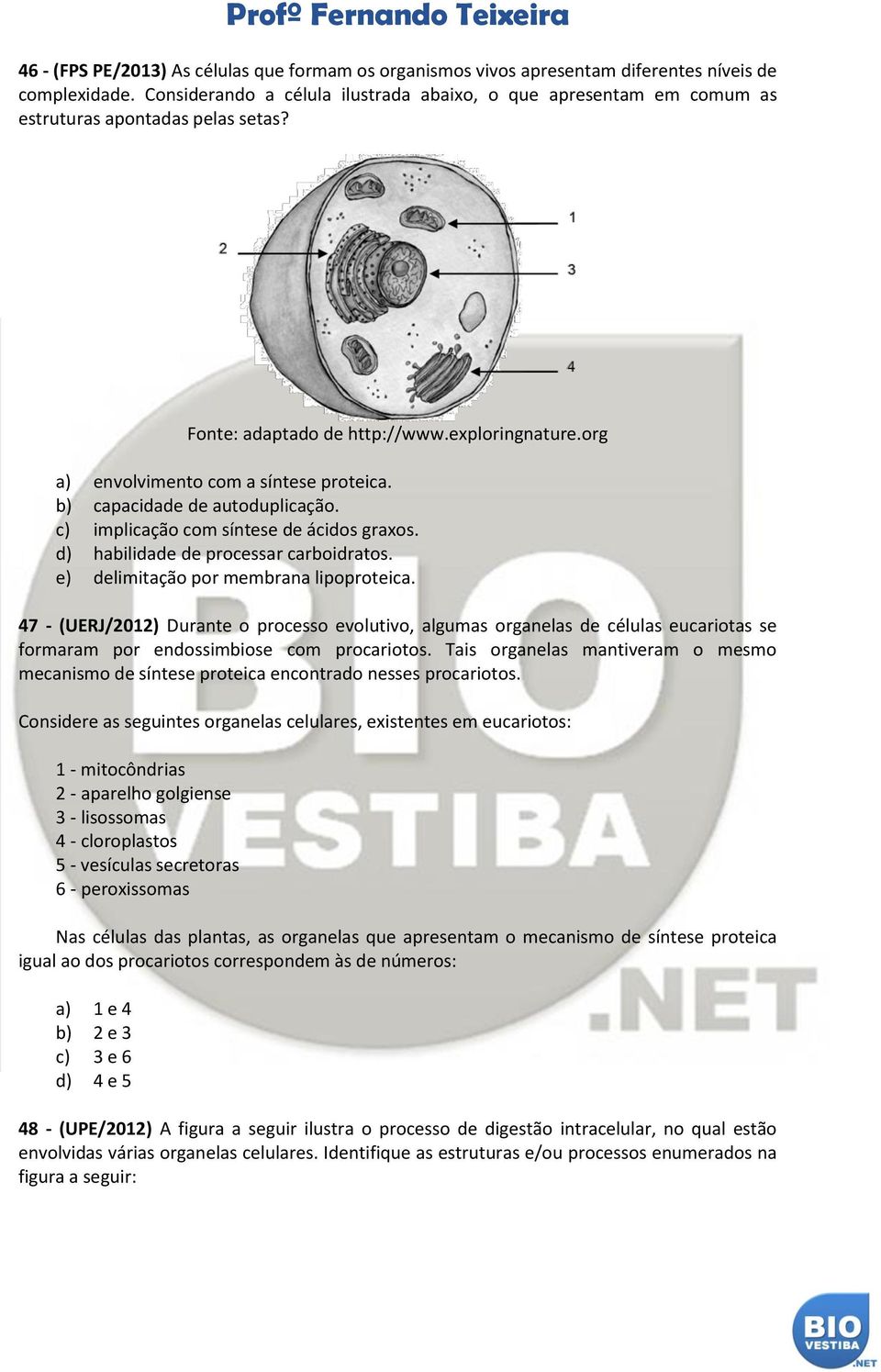 b) capacidade de autoduplicação. c) implicação com síntese de ácidos graxos. d) habilidade de processar carboidratos. e) delimitação por membrana lipoproteica.