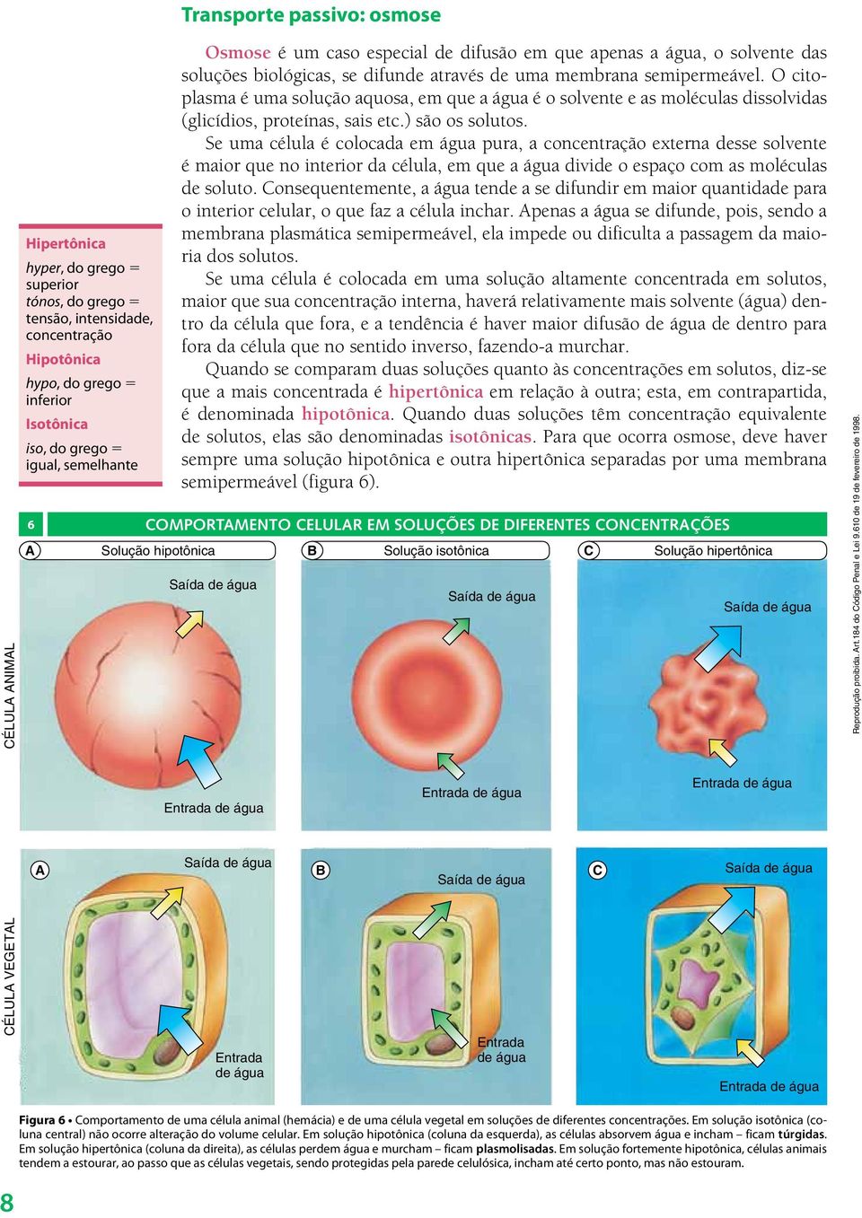 biológicas, se difunde através de uma membrana semipermeável. O citoplasma é uma solução aquosa, em que a água é o solvente e as moléculas dissolvidas (glicídios, proteínas, sais etc.) são os solutos.