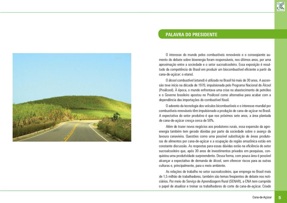 O álcool combustível (etanol) é utilizado no Brasil há mais de 30 anos. A ascensão teve início na década de 1970, impulsionada pelo Programa Nacional do Álcool (Proálcool).