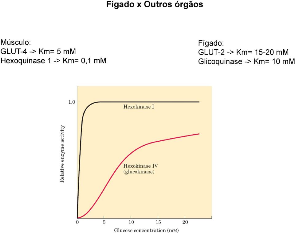 -> Km= 0,1 mm Fígado: GLUT-2 ->