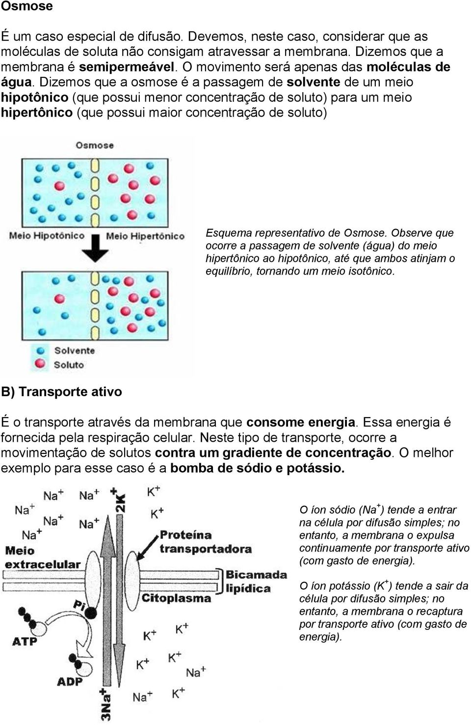 Dizemos que a osmose é a passagem de solvente de um meio hipotônico (que possui menor concentração de soluto) para um meio hipertônico (que possui maior concentração de soluto) Esquema representativo