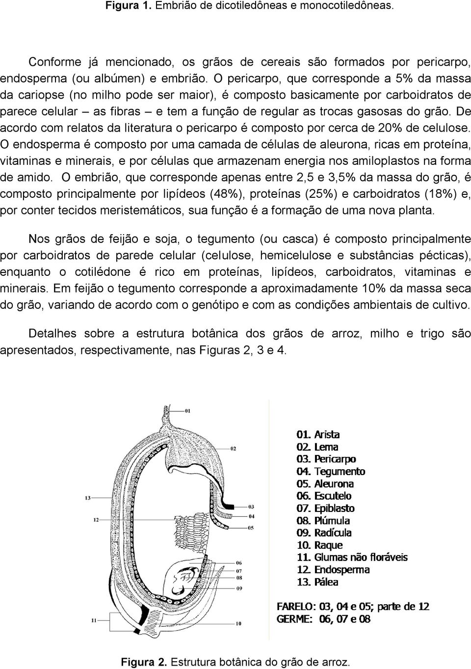 grão. De acordo com relatos da literatura o pericarpo é composto por cerca de 20% de celulose.