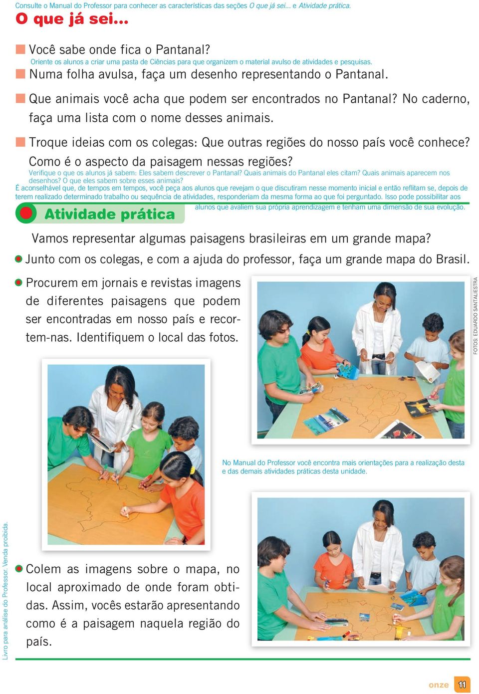 Que animais você acha que podem ser encontrados no Pantanal? No caderno, faça uma lista com o nome desses animais. Troque ideias com os colegas: Que outras regiões do nosso país você conhece?