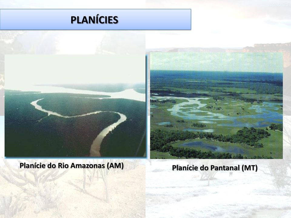 Amazonas (AM)