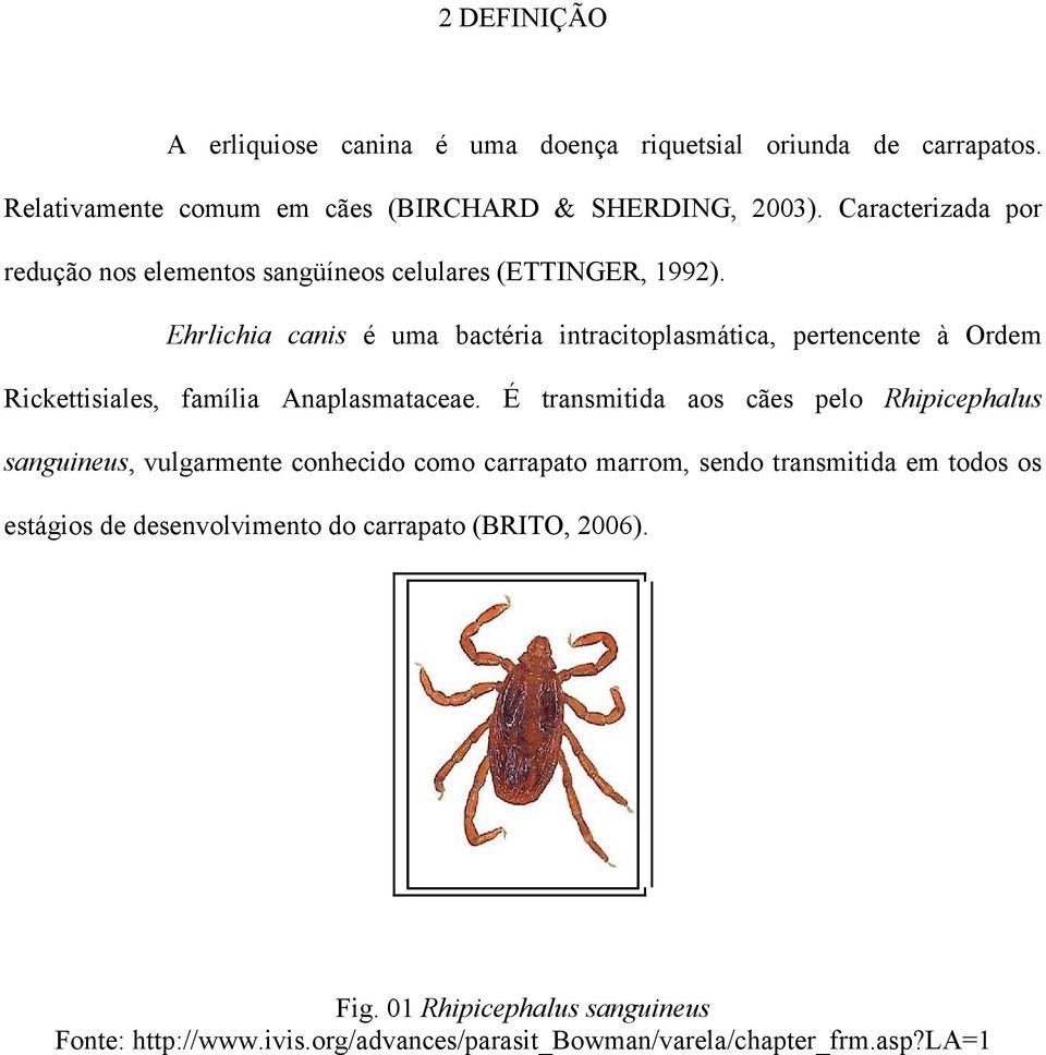 Ehrlichia canis é uma bactéria intracitoplasmática, pertencente à Ordem Rickettisiales, família Anaplasmataceae.