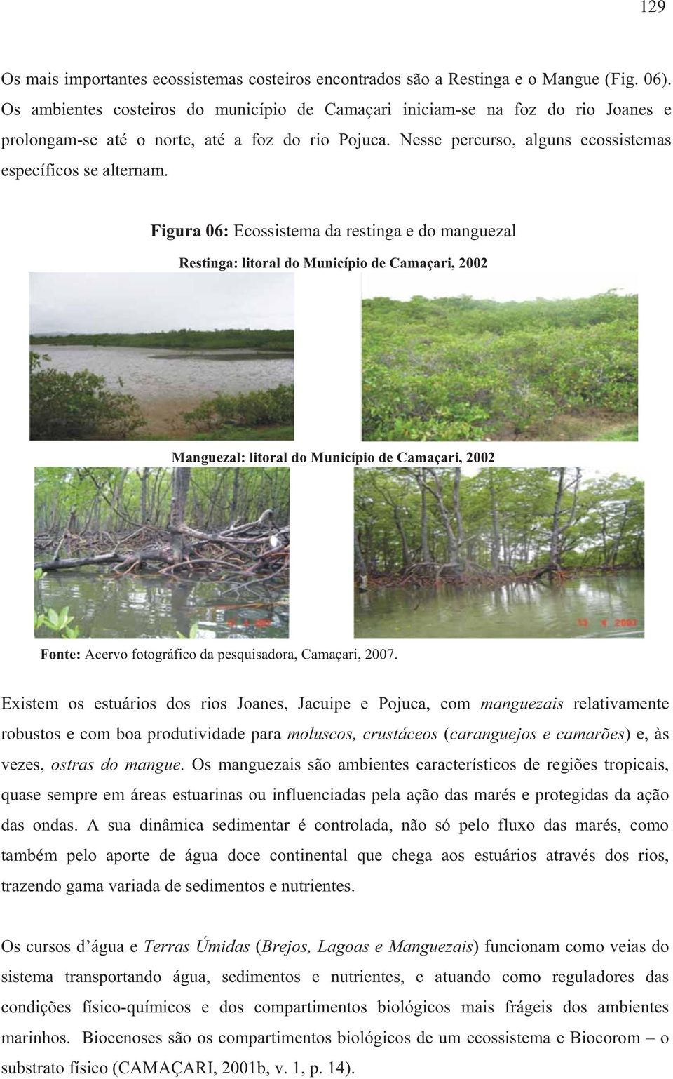 Figura 06: Ecossistema da restinga e do manguezal Restinga: litoral do Município de Camaçari, 2002 Manguezal: litoral do Município de Camaçari, 2002 Fonte: Acervo fotográfico da pesquisadora,