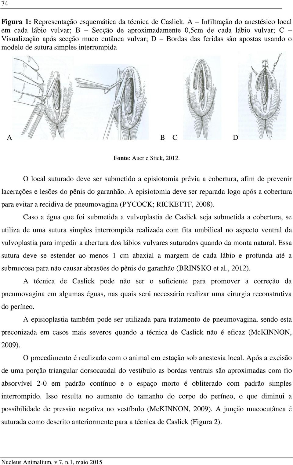 o modelo de sutura simples interrompida A B C D O local suturado deve ser submetido a episiotomia prévia a cobertura, afim de prevenir lacerações e lesões do pênis do garanhão.