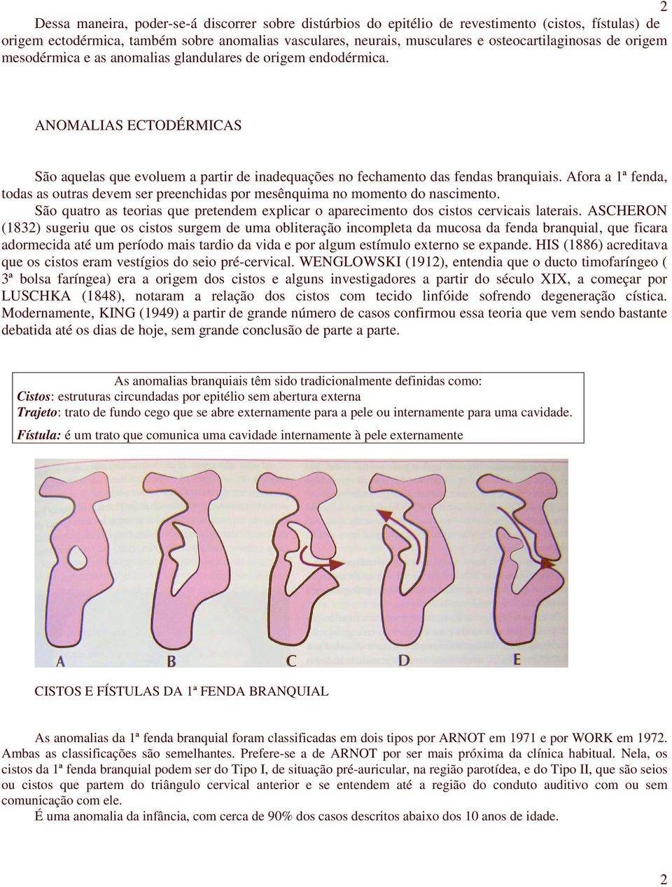 Afora a 1ª fenda, todas as outras devem ser preenchidas por mesênquima no momento do nascimento. São quatro as teorias que pretendem explicar o aparecimento dos cistos cervicais laterais.