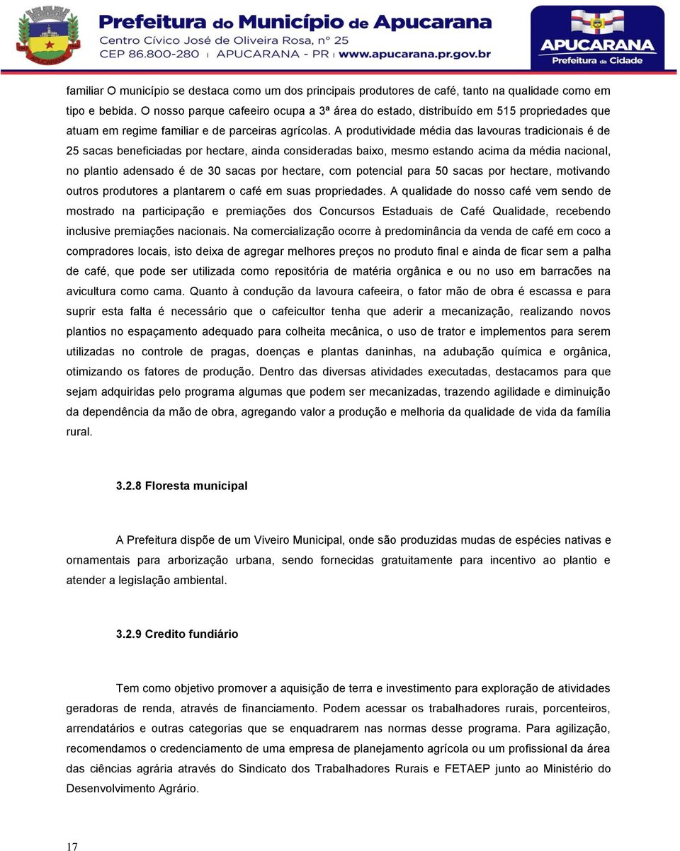 A produtividade média das lavouras tradicionais é de 25 sacas beneficiadas por hectare, ainda consideradas baixo, mesmo estando acima da média nacional, no plantio adensado é de 30 sacas por hectare,