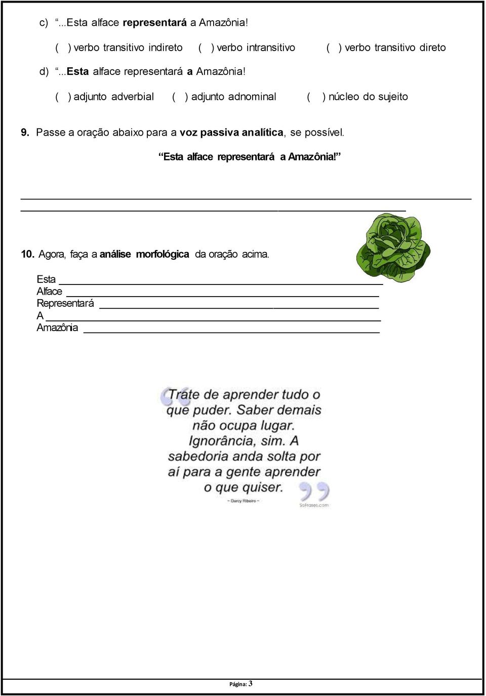 ..esta alface representará a Amazônia! ( ) adjunto adverbial ( ) adjunto adnominal ( ) núcleo do sujeito 9.