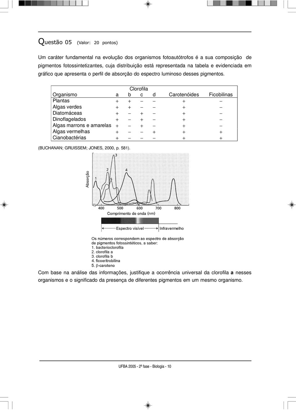 Clorofila Organismo a b c d Carotenóides Ficobilinas Plantas + + + Algas verdes + + + Diatomáceas + + + Dinoflagelados + + + Algas marrons e amarelas + + + Algas vermelhas + + + +