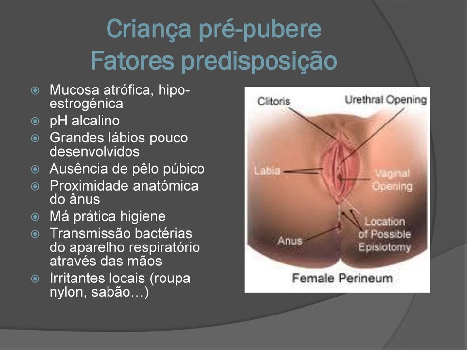 Proximidade anatómica do ânus Má prática higiene Transmissão bactérias do