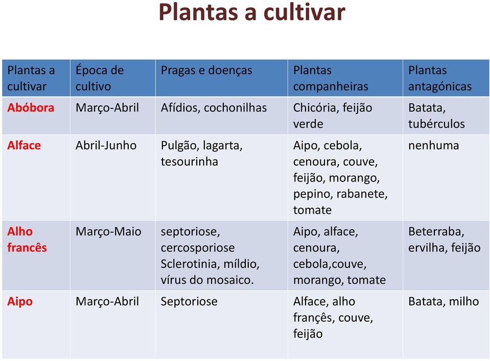 Aipo, cebola, cenoura, couve, feijão, morango, pepino, rabanete, Aipo, alface, cenoura,