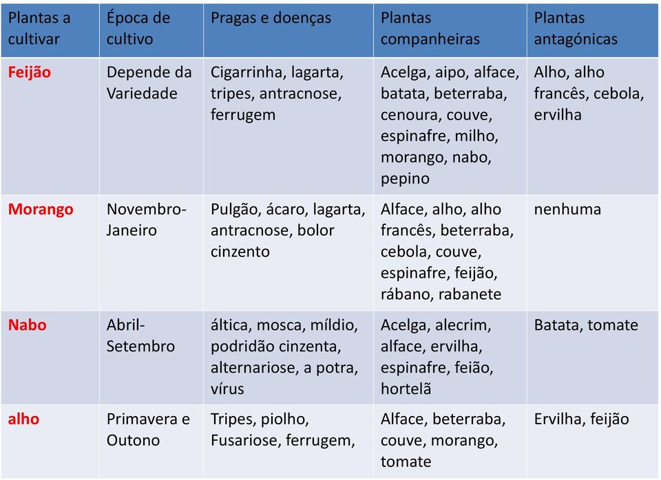 francês, beterraba, cebola, couve, espinafre, feijão, rábano, rabanete Nabo - Setembro áltica, mosca, míldio, podridão cinzenta, alternariose, a potra, vírus