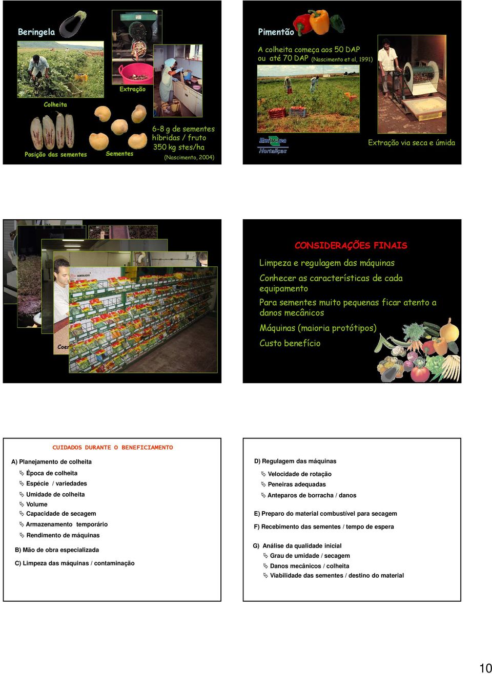 Máquinas (maioria protótipos) Coentro Custo benefício Coentro CUIDADOS DURANTE O BENEFICIAMENTO A) Planejamento de colheita D) Regulagem das máquinas Época de colheita Velocidade de rotação Espécie /