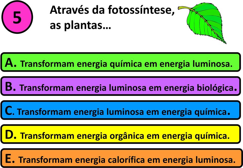 Transformam energia luminosa em energia biológica. C.