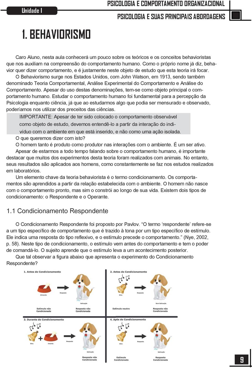 Como o próprio nome já diz, behavior quer dizer comportamento, e é justamente neste objeto de estudo que esta teoria irá focar.