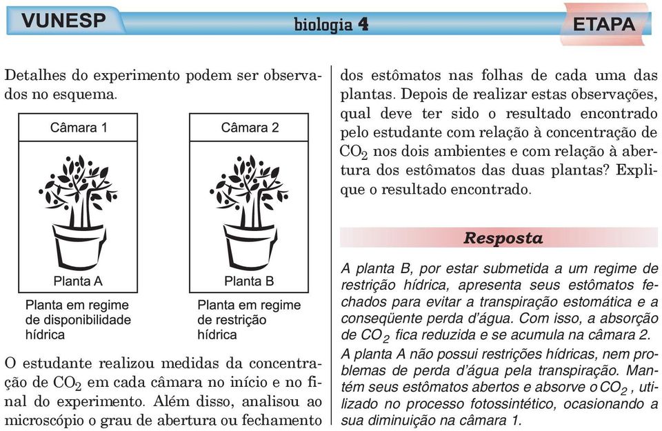 plantas? Explique o resultado encontrado. O estudante realizou medidas da concentração de CO 2 em cada câmara no início e no final do experimento.