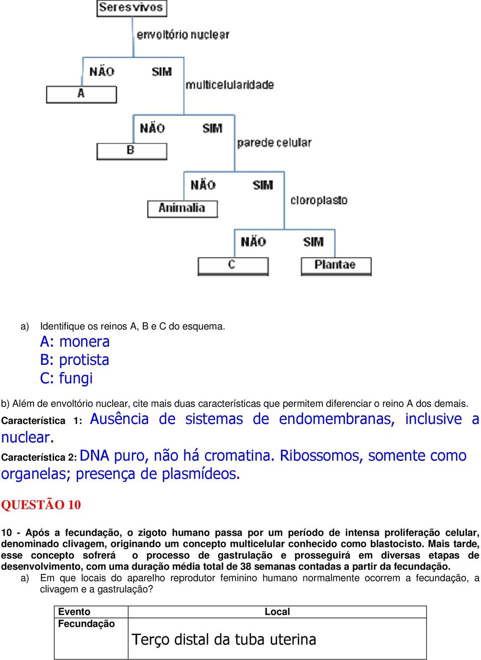 QUESTÃO 10 10 - Após a fecundação, o zigoto humano passa por um período de intensa proliferação celular, denominado clivagem, originando um concepto multicelular conhecido como blastocisto.