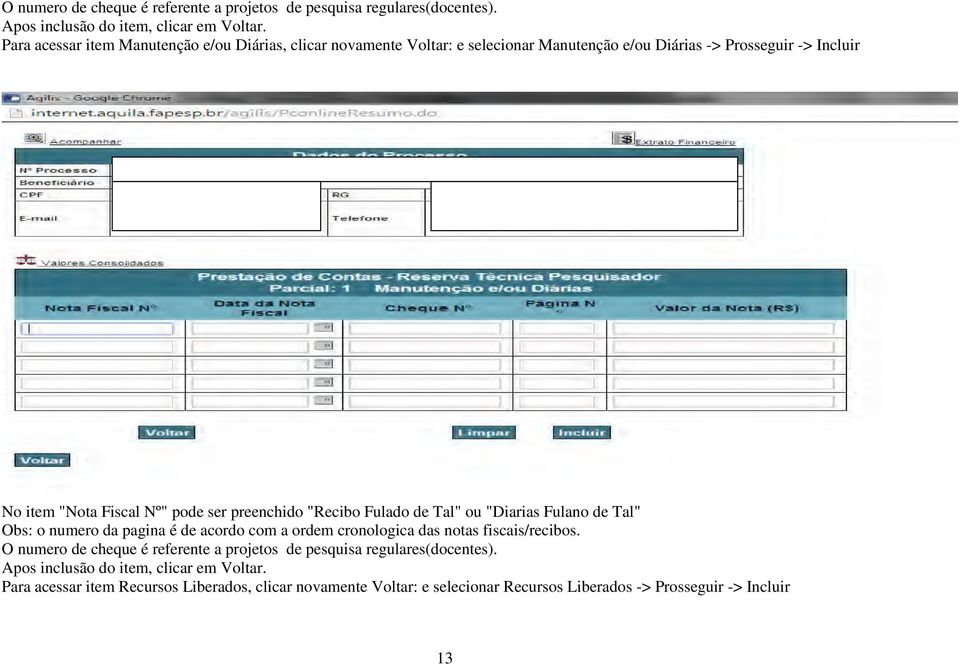 preenchido "Recibo Fulado de Tal" ou "Diarias Fulano de Tal" Obs: o numero da pagina é de acordo com a ordem cronologica das notas fiscais/recibos.