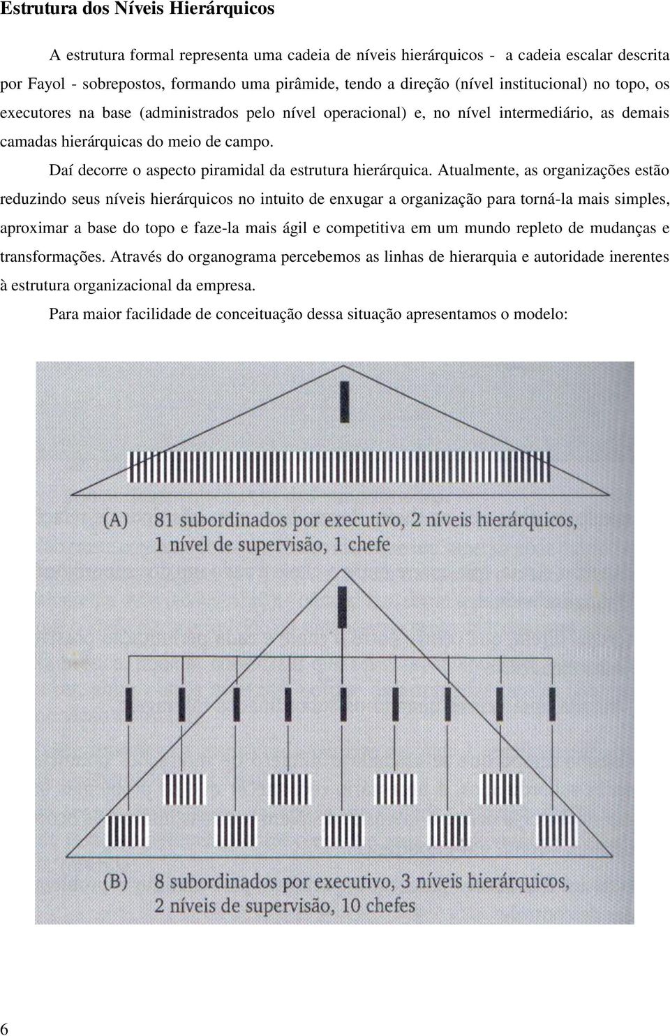 Daí decorre o aspecto piramidal da estrutura hierárquica.