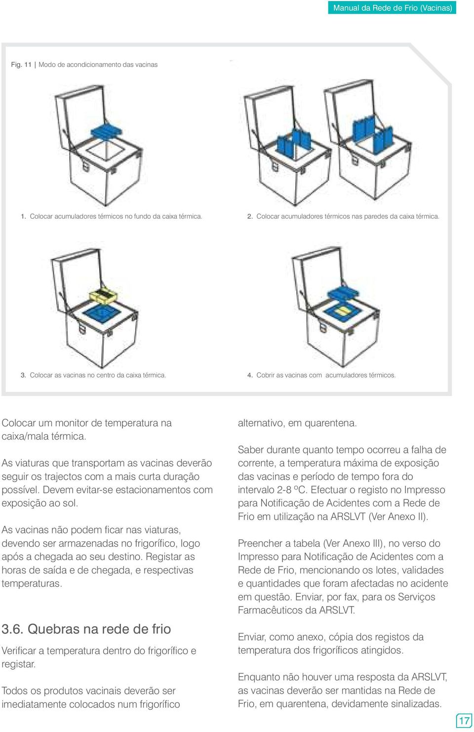 As viaturas que transportam as vacinas deverão seguir os trajectos com a mais curta duração possível. Devem evitar-se estacionamentos com exposição ao sol.