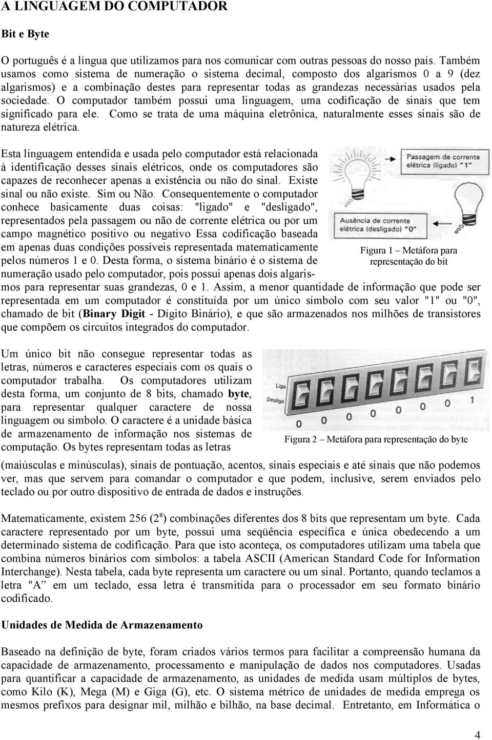 O computador também possui uma linguagem, uma codificação de sinais que tem significado para ele. Como se trata de uma máquina eletrônica, naturalmente esses sinais são de natureza elétrica.