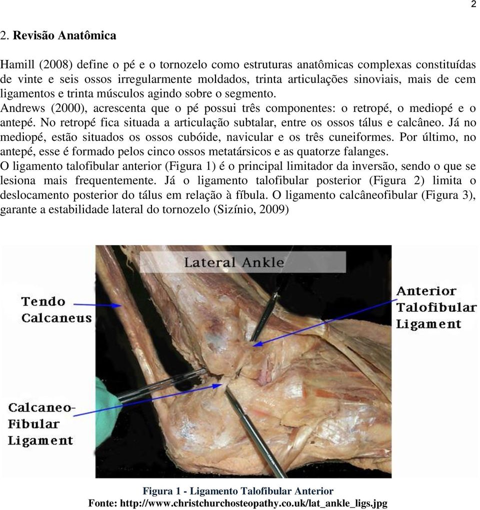 No retropé fica situada a articulação subtalar, entre os ossos tálus e calcâneo. Já no mediopé, estão situados os ossos cubóide, navicular e os três cuneiformes.