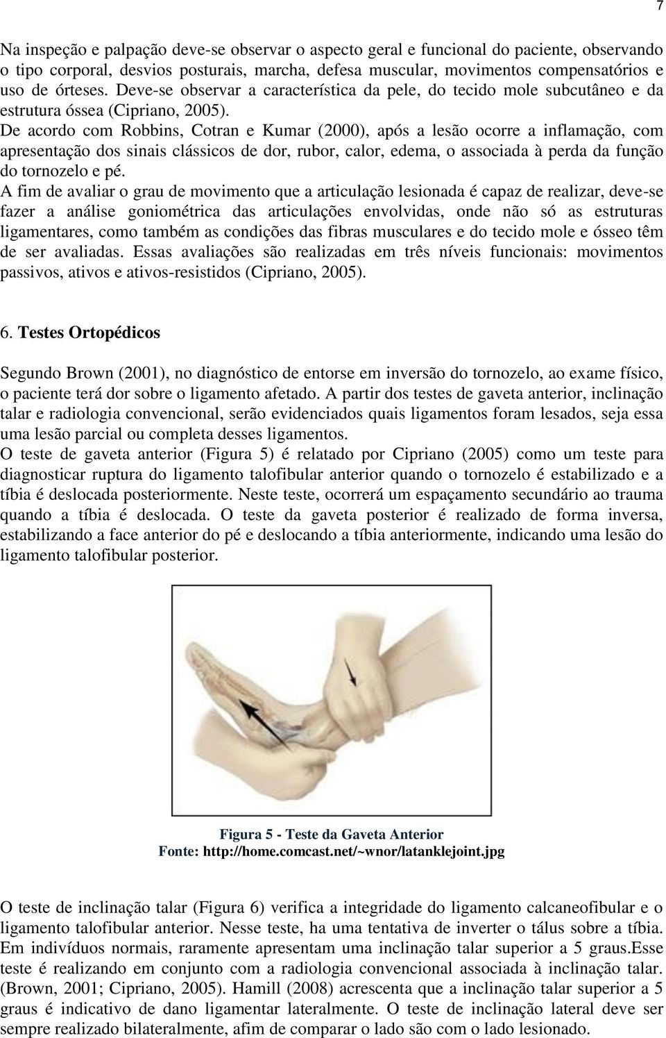 De acordo com Robbins, Cotran e Kumar (2000), após a lesão ocorre a inflamação, com apresentação dos sinais clássicos de dor, rubor, calor, edema, o associada à perda da função do tornozelo e pé.