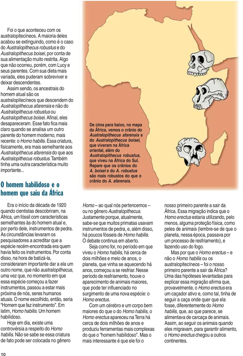 Algo que não ocorreu, porém, com Lucy e seus parentes. Com sua dieta mais variada, eles puderam sobreviver e deixar descendentes.