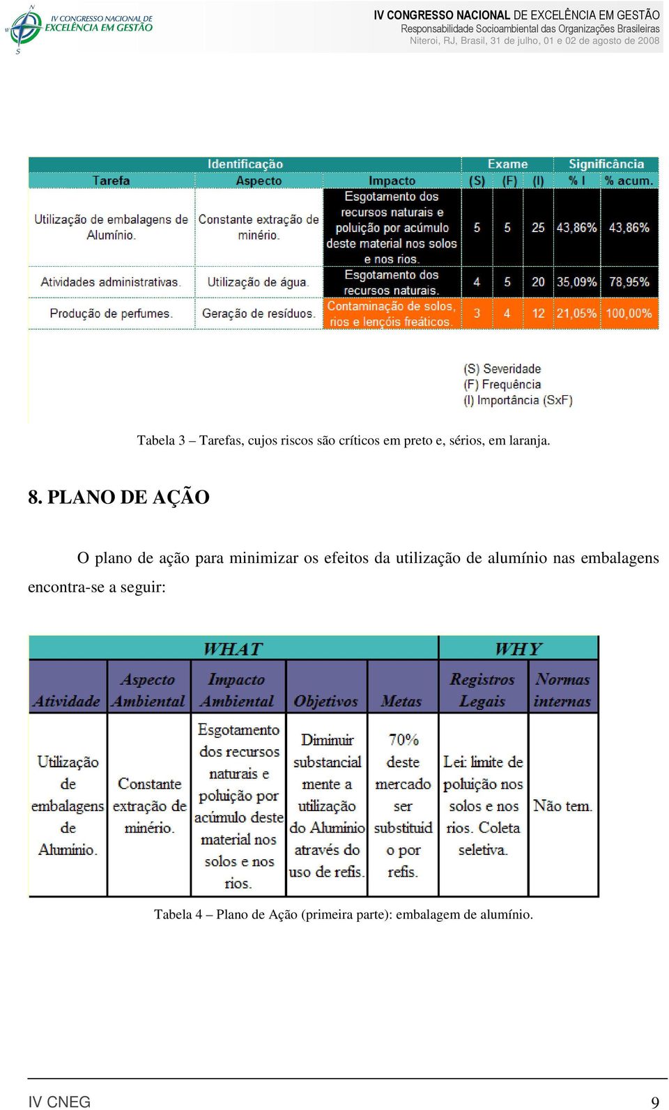 PLANO DE AÇÃO O plano de ação para minimizar os efeitos da