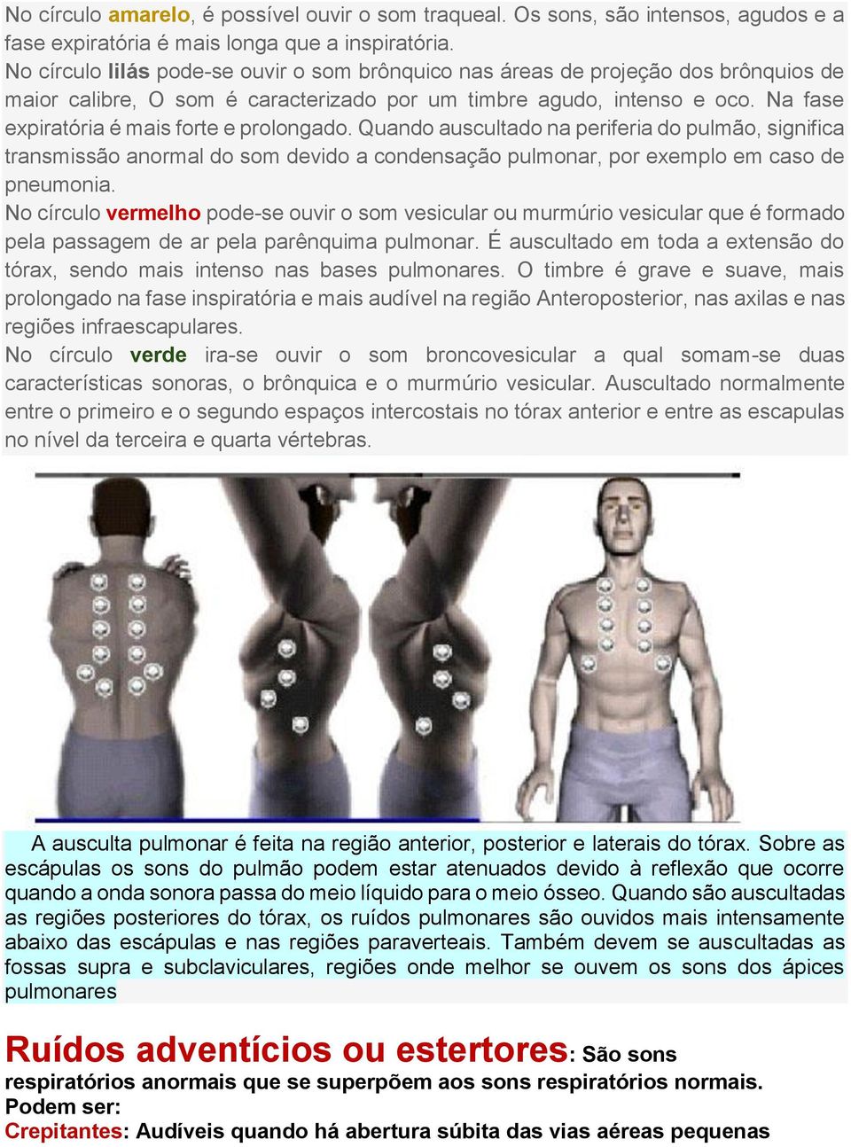 Na fase expiratória é mais forte e prolongado. Quando auscultado na periferia do pulmão, significa transmissão anormal do som devido a condensação pulmonar, por exemplo em caso de pneumonia.