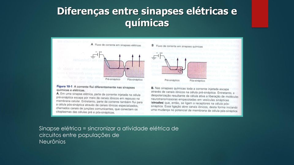 sincronizar a atividade elétrica de