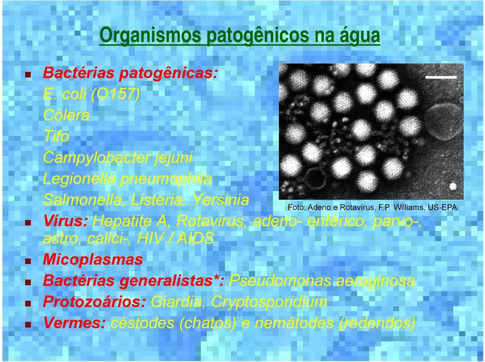 Hepatite A, Rotavirus, adeno- entérico, parvo-, astro, calici-, HIV / AIDS Micoplasmas Bactérias