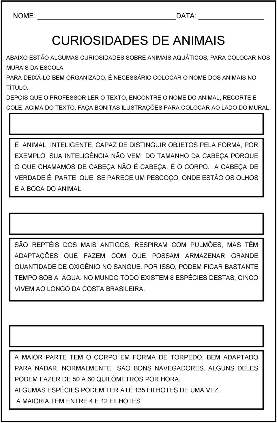 FAÇA BONITAS ILUSTRAÇÕES PARA COLOCAR AO LADO DO MURAL. É ANIMAL INTELIGENTE, CAPAZ DE DISTINGUIR OBJETOS PELA FORMA, POR EXEMPLO.