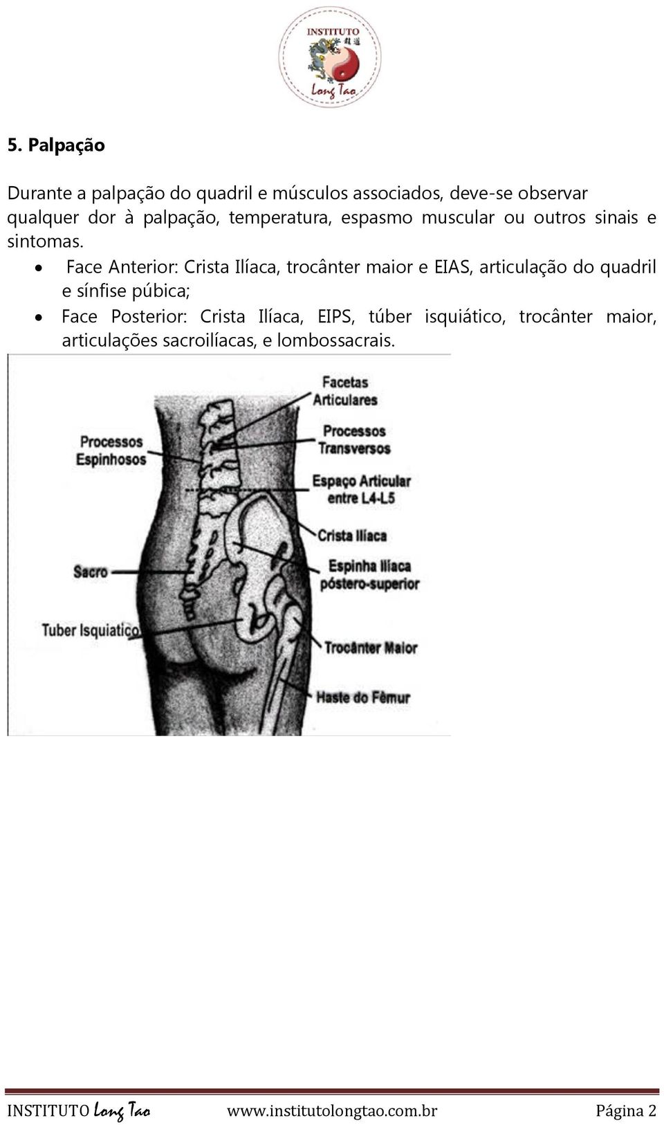 Face Anterior: Crista Ilíaca, trocânter maior e EIAS, articulação do quadril e sínfise púbica; Face