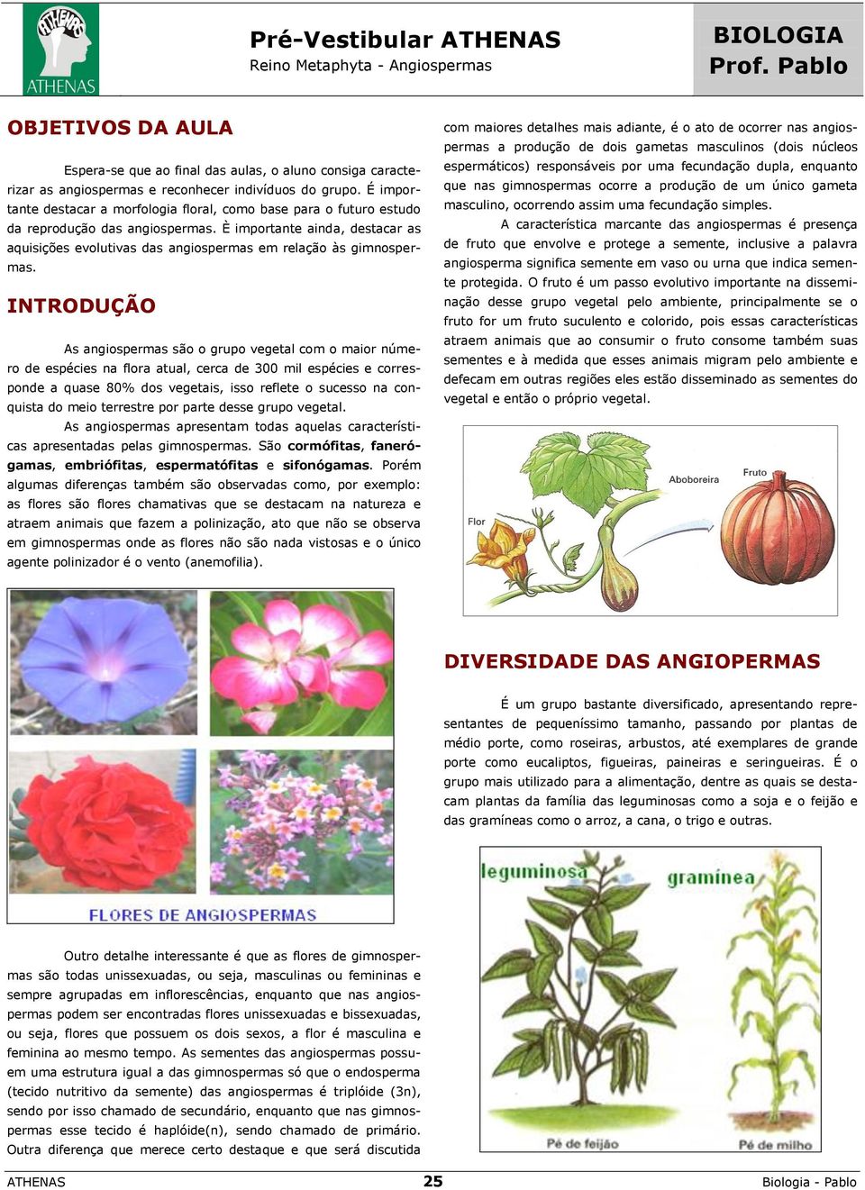 É importante destacar a morfologia floral, como base para o futuro estudo da reprodução das angiospermas.