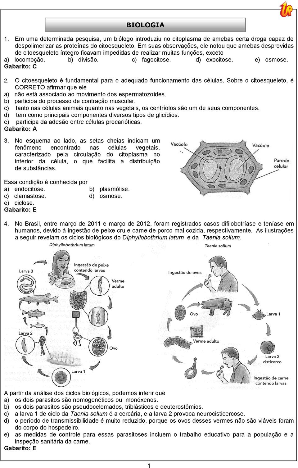 Gabarito: C 2. O citoesqueleto é fundamental para o adequado funcionamento das células. Sobre o citoesqueleto, é CORRETO afirmar que ele a) não está associado ao movimento dos espermatozoides.