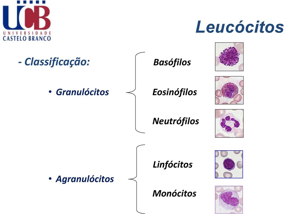 Eosinófilos Neutrófilos