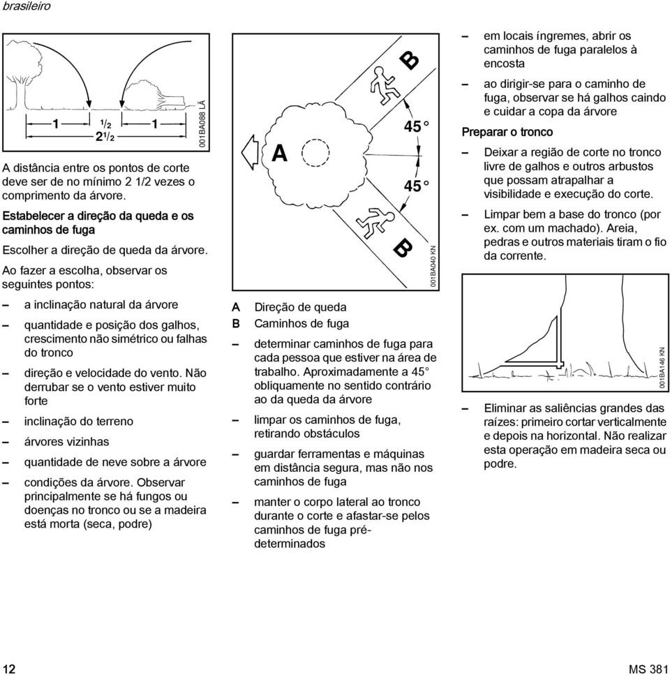 Ao fazer a escolha, observar os seguintes pontos: a inclinação natural da árvore quantidade e posição dos galhos, crescimento não simétrico ou falhas do tronco direção e velocidade do vento.