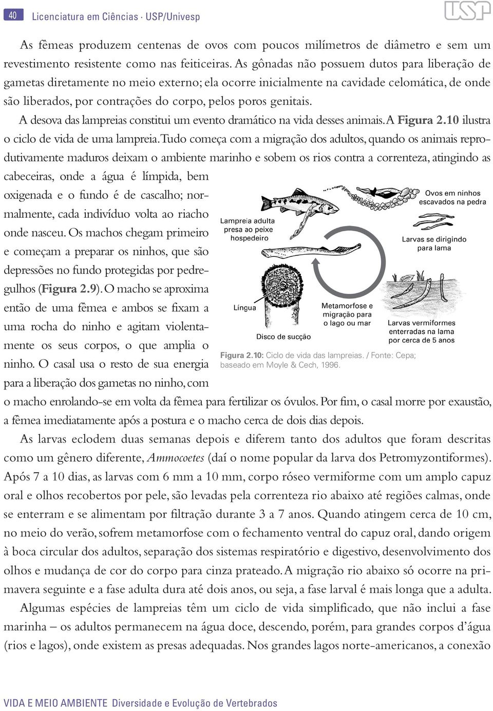 genitais. A desova das lampreias constitui um evento dramático na vida desses animais. A Figura 2.10 ilustra o ciclo de vida de uma lampreia.