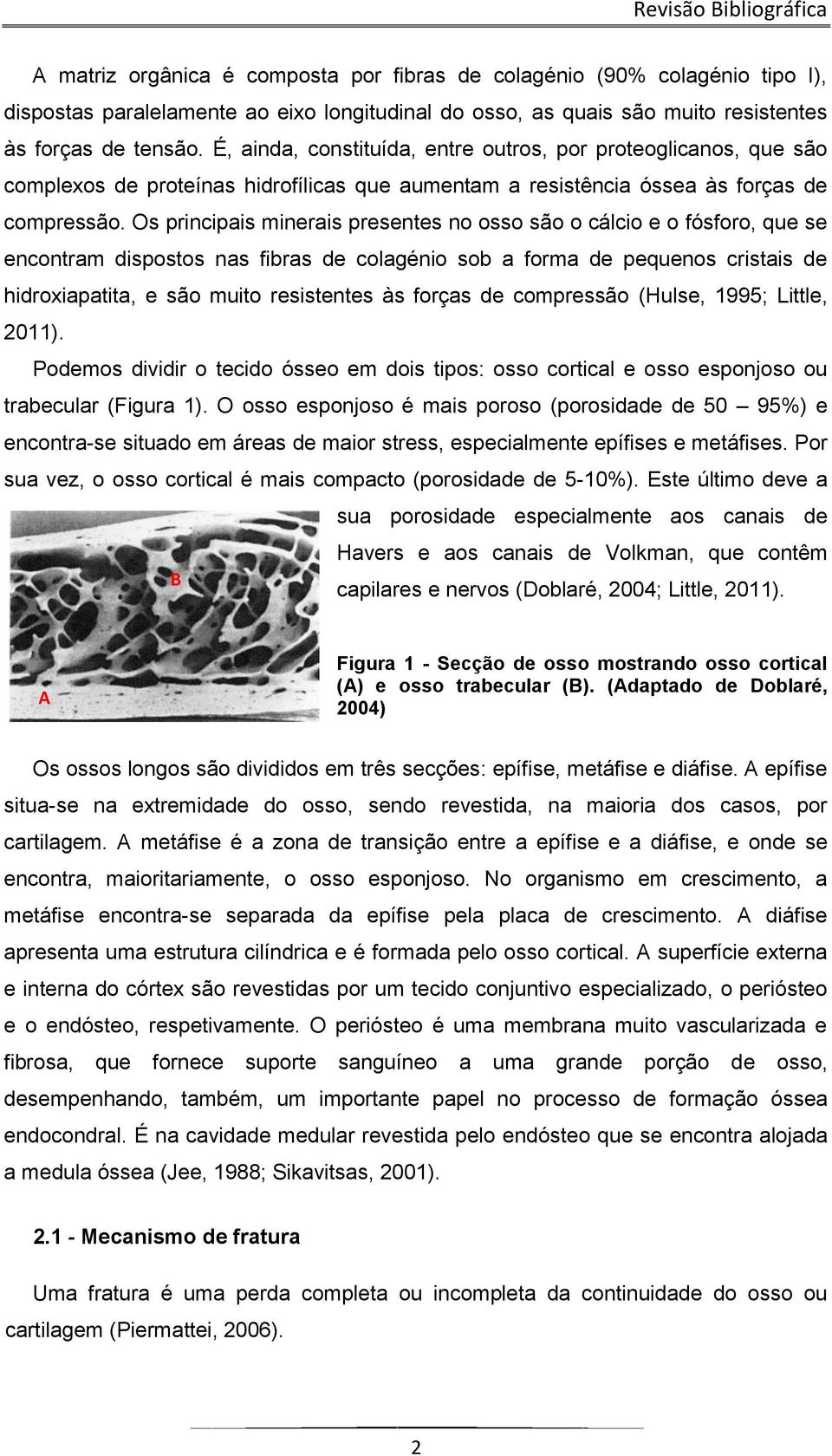 Os principais minerais presentes no osso são o cálcio e o fósforo, que se encontram dispostos nas fibras de colagénio sob a forma de pequenos cristais de hidroxiapatita, e são muito resistentes às