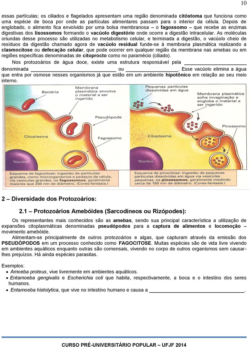 As moléculas oriundas desse processo são utilizadas no metabolismo celular, e terminada a digestão, o vacúolo cheio de resíduos da digestão chamado agora de vacúolo residual funde-se à membrana