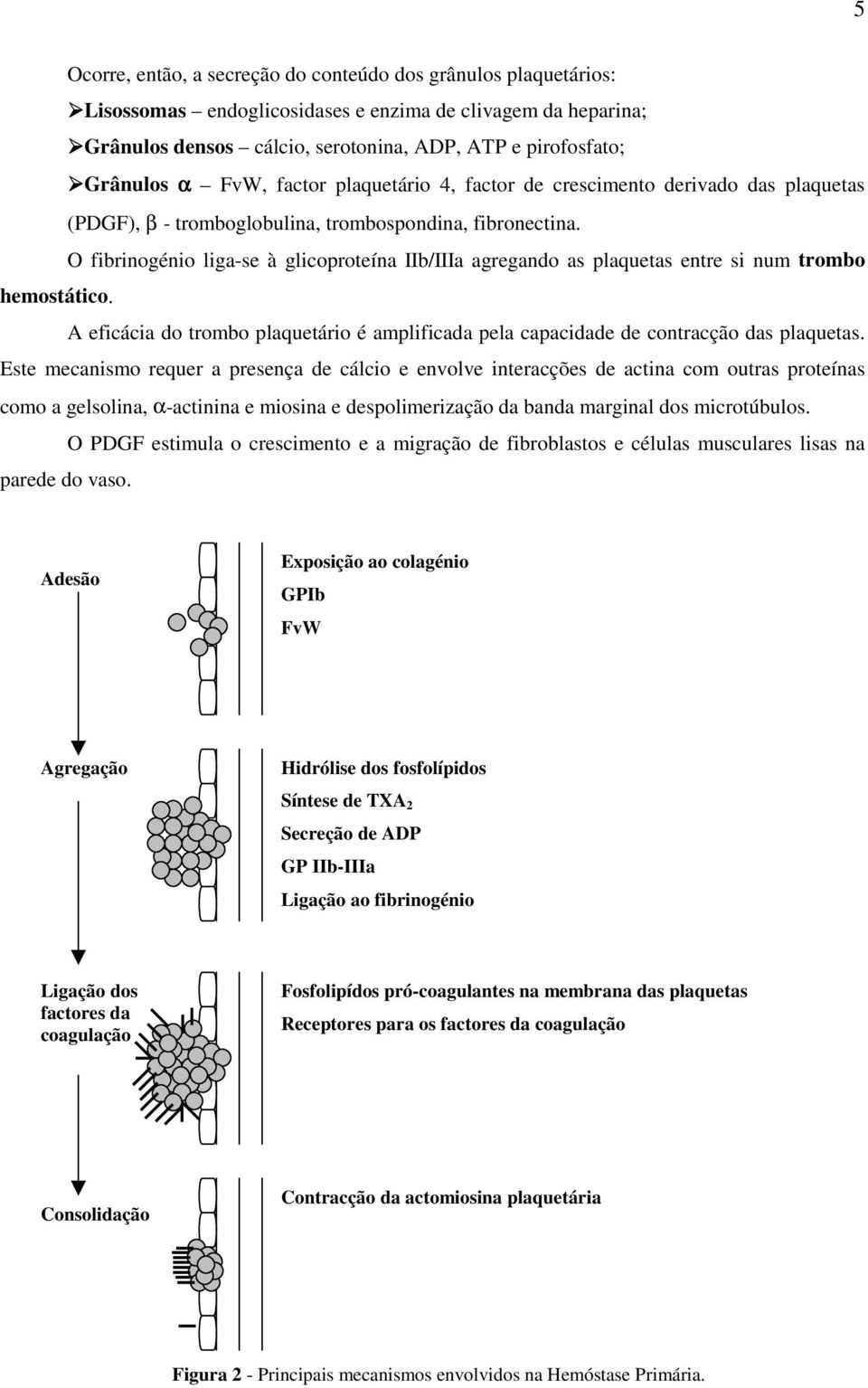 O fibrinogénio liga-se à glicoproteína IIb/IIIa agregando as plaquetas entre si num trombo hemostático. A eficácia do trombo plaquetário é amplificada pela capacidade de contracção das plaquetas.